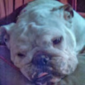 Meet your Posher, Colleen